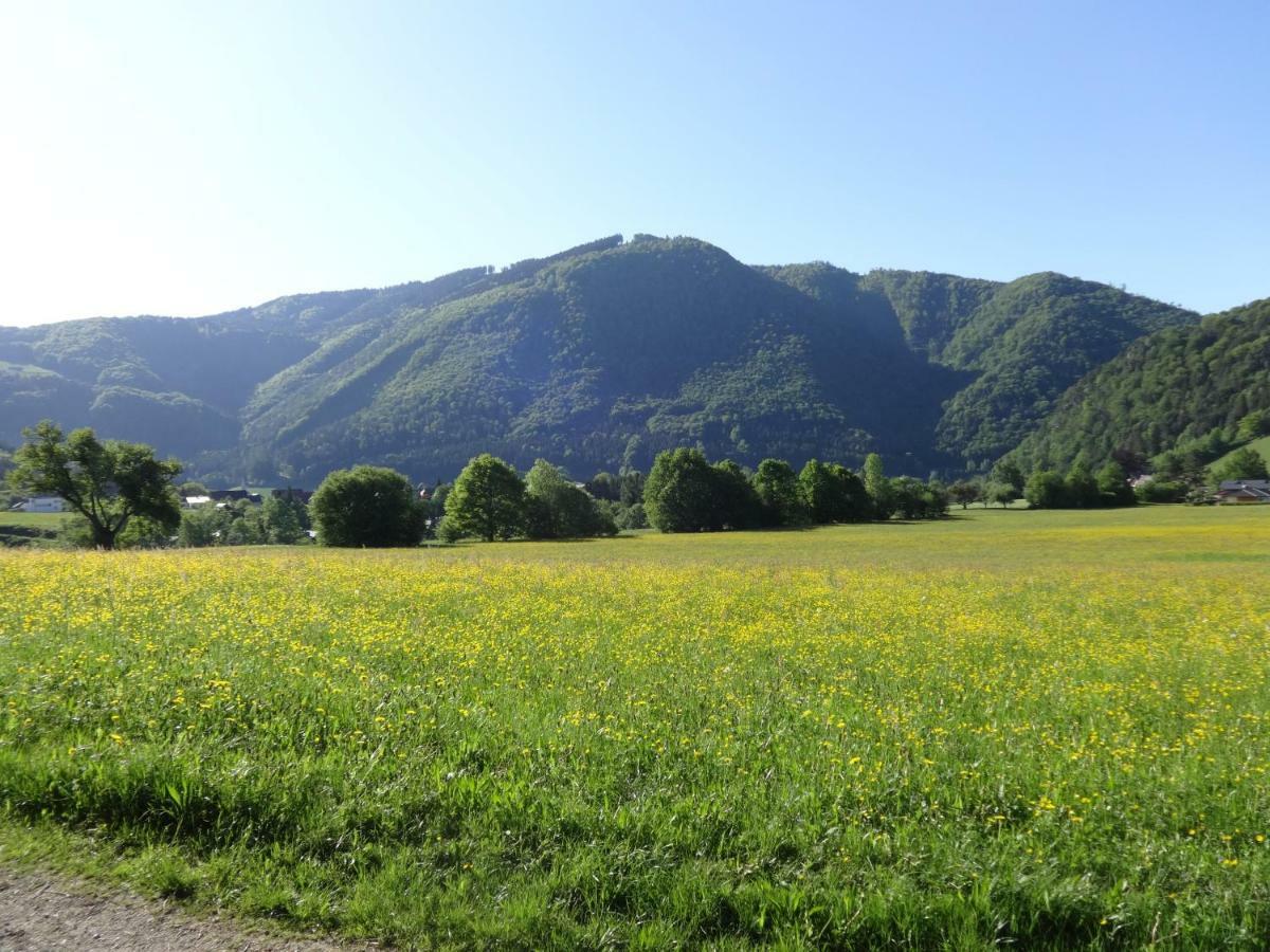 Fruehstueckspension Irmer Gaming Exterior foto