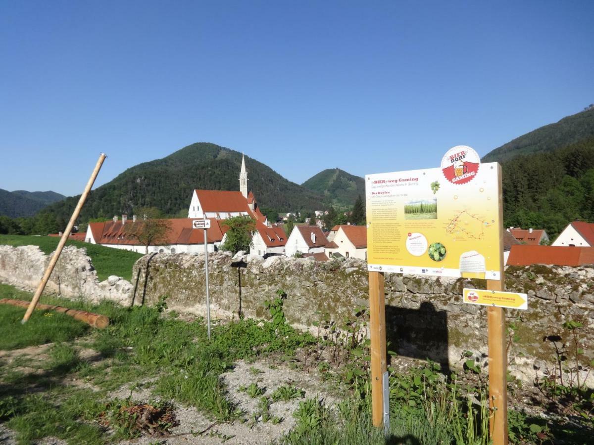 Fruehstueckspension Irmer Gaming Exterior foto